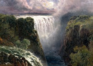Udsigt til Victoria Falls