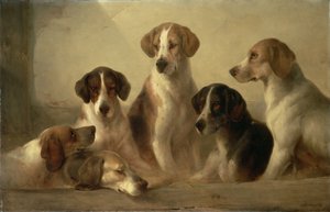 Hunde
