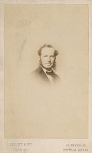 Sir John Tenniel, kunstner