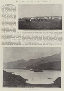 Beringhavets voldgift