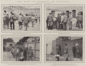 Boeren i Durance i Cape Town