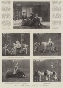 Hvad dronningen så på Balmoral