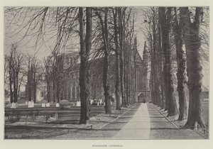 Winchester katedral