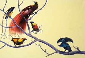 Paradisfugle