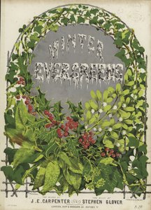 Cover af Winter Evergreens