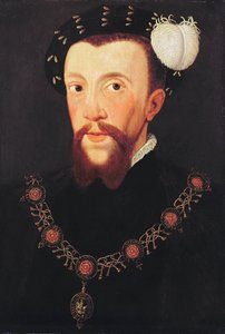 Portræt af Henry Howard, 1546
