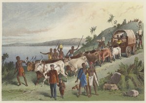 The arrival at Lake Ngami 