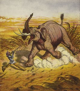 Jim Bold på jagt efter en elefant