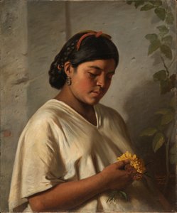 Indisk kvinde med morgenfrue, 1876