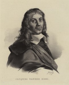 Jacob van der Does, hollandsk kunstner