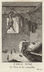 Katten og den gamle rotte