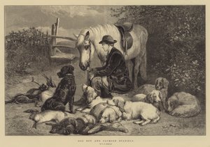Dog Boy og Clumber Spaniels