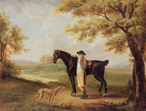 Hest, rytter og whippet