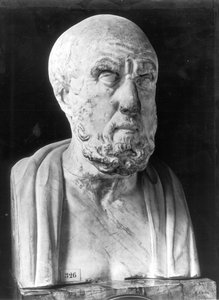 Buste af Hippokrates (ca. 460-c. 377 f.Kr.) (marmor)