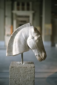 Hovedet af en hest (marmor)