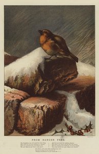 Fra Danger Free (chromolitho)