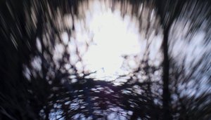 Vandtapet III, 2017, (manipuleret fotografi)