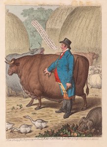 Fat Cattle, pub. 1802 (håndfarvet gravering)