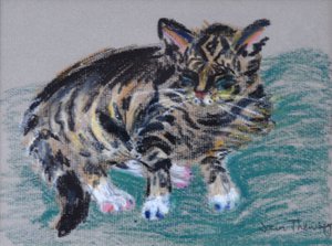 Tabby Cat, 2005 (pastel)