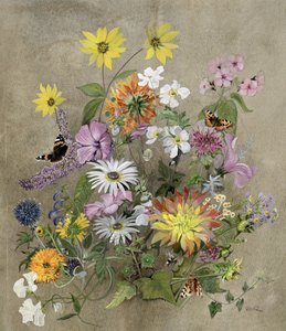 Sommerblomster
