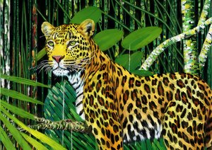 Dyr: Leopard 1