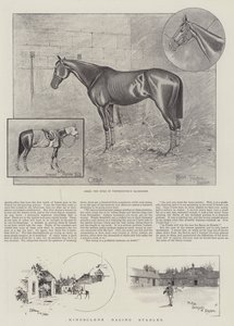 Kingsclere Racing Stables