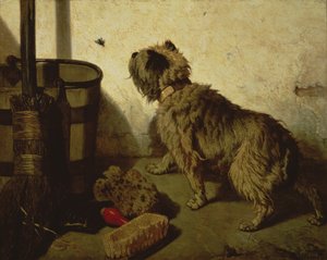 Hunden og fluen, 1856