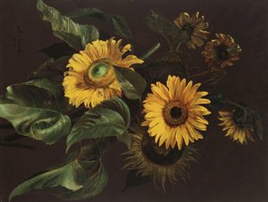 Solsikker, 1839