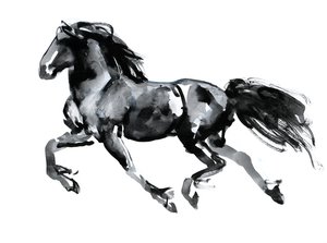 Flying Friesian, 2015, (kinesisk blæk på papir)