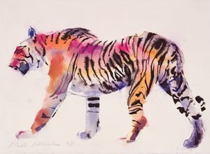 Stripey (blæk og wc på papir)