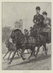 Dronningens landevej