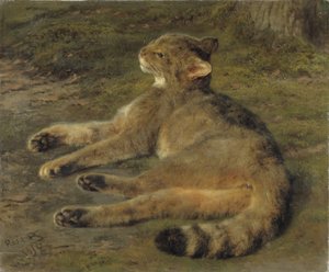 Vild kat, 1850