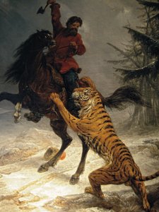 Sibirisk tiger angriber en kosak