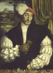 Portræt af en mand, 1533