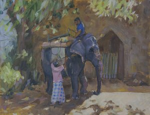 Elefant,Sri Lanka,2015,