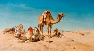 Et stop i ørkenen, 1867
