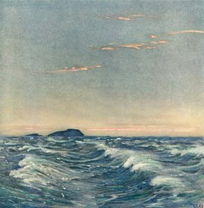 Hvide Heste