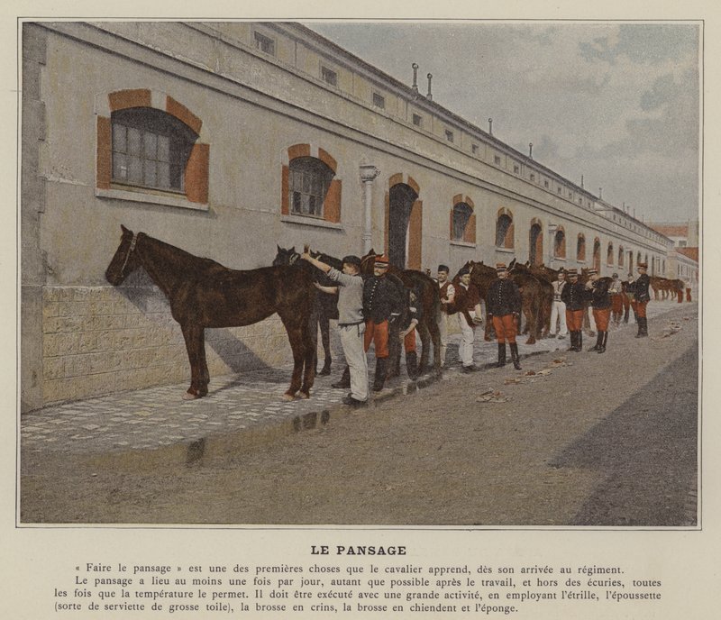 The Grooming (farvet foto) af (after) French Photographer