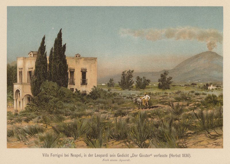 Villa Ferrigni, nær Napoli (farvelitografi) af (after) German School