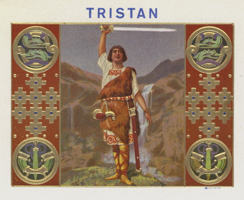 Tristan af American School