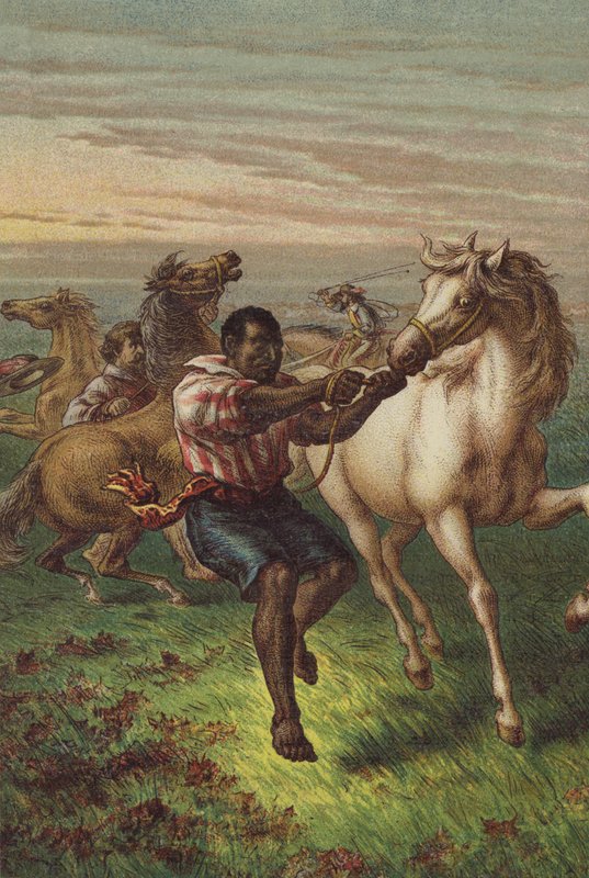 Garibaldis soldater knækker vilde heste af English School