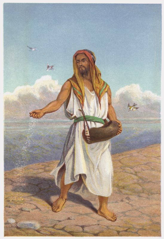 Lignelser om Jesus Kristus: Såmanden af English School