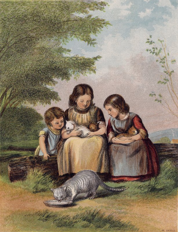 Kattekillinger af English School