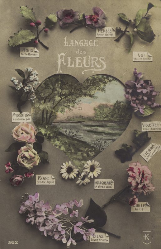 Blomsternes sprog af French Photographer