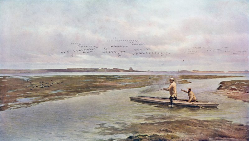 Efter et skud på brentgæs af A. de Bree