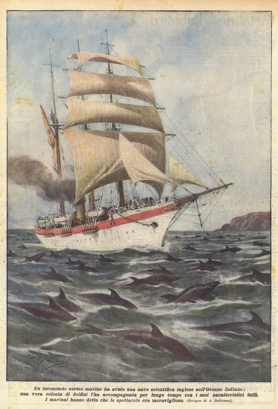 Et usædvanligt maritimt optog havde et britisk forskningsskib i Det Indiske Ocean ? af Achille Beltrame
