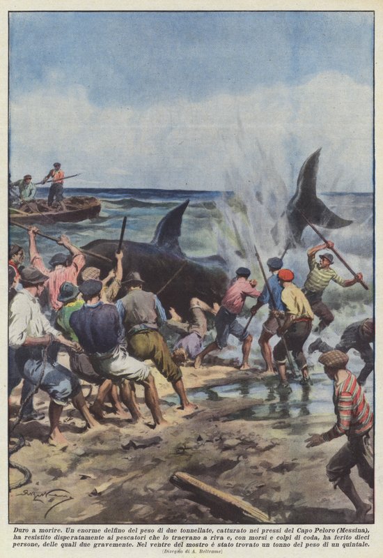 Dø hårdt af Achille Beltrame