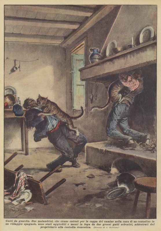 Vagt katte af Achille Beltrame