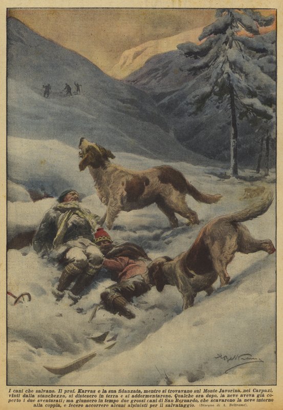 Hunde, der redder af Achille Beltrame