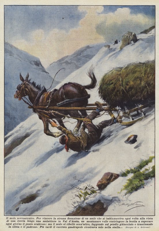 Det neurasteniske muldyr af Achille Beltrame